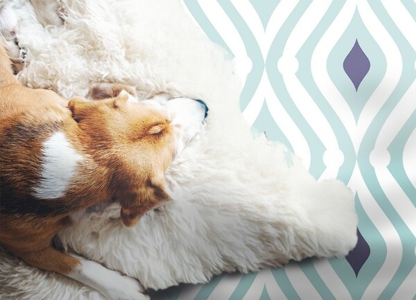 Pvc szőnyeg Geometriai hullámok